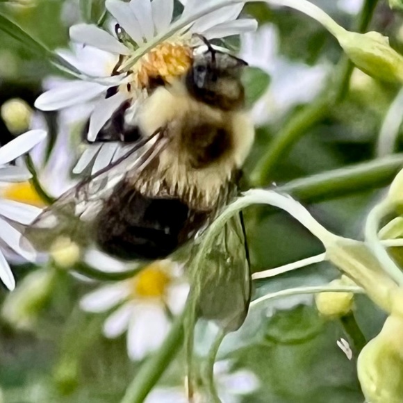 Meet your Posher, Terri lynn - Picture 5 of 16